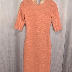 Christian Soriano pink snakeskin silk dress Sz 2